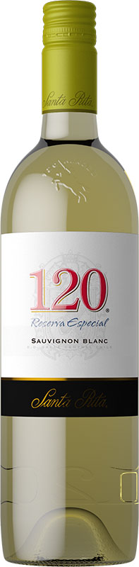 SAUVIGNON BLANC SANTA RITA 120 Chilean White Wine