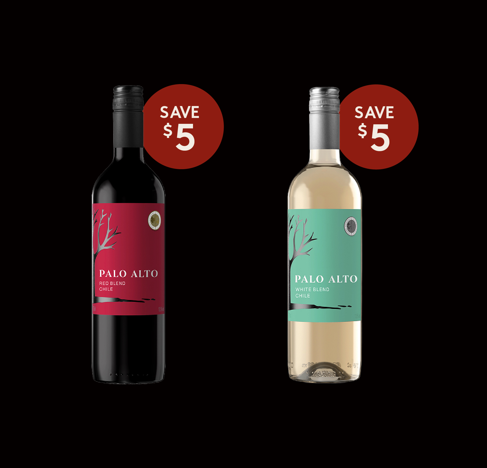 Teaser Flyer Palo Alto